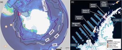 Remote sensing of sea surface glacial meltwater on the Antarctic Peninsula shelf